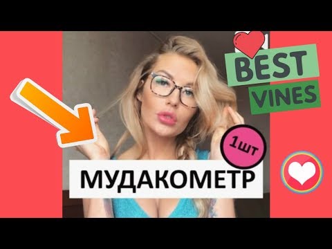 Видео: ТОП ВАЙНЫ / НОВЫЕ РУССКИЕ И КАЗАХСКИЕ ВАЙНЫ | ПОДБОРКА ВАЙНОВ #149