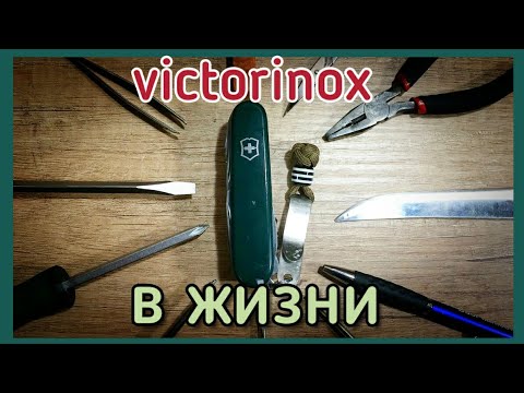 Видео: Victorinox практика - о насущном