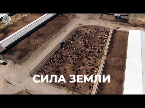 Видео: Программа "СИЛА ЗЕМЛИ" | 02 июня 2023 | Телеканал ОТС