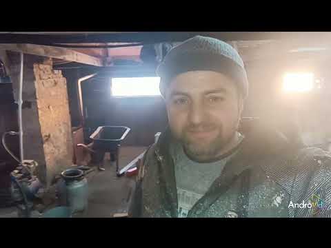 Видео: ##заказал УЗИ для свиней##устанавливаю опоросные станки ##