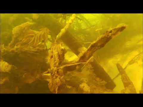 Видео: Подводная охота на судака и жереха.