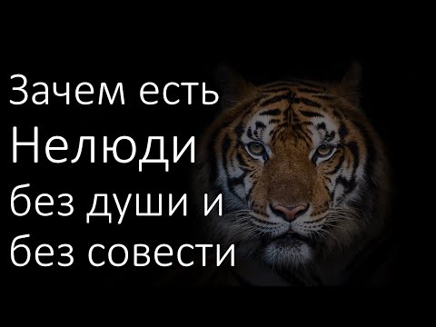 Видео: По негативной программе живут люди  без души или без совести