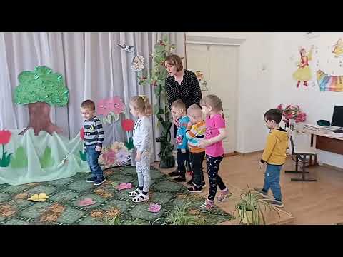 Видео: Занятие по естествознанию. Тема насекомые. Средняя группа.