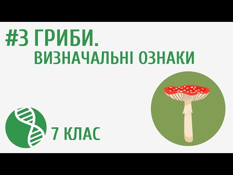 Видео: Гриби. Визначальні ознаки #3