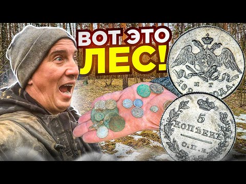 Видео: Нашли лес полный серебра! Откуда их столько здесь?! Показываю находки с металлоискателем Фрогман Б75
