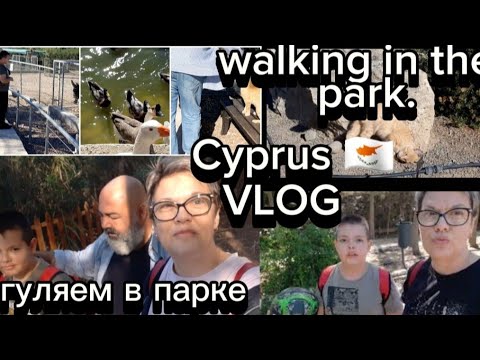 Видео: Едем в парк.We are going to the park. Cyprus 🇨🇾 #Nicosia#Cyprus #парк #cypruslife #life