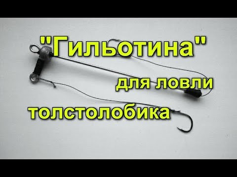 Видео: "Гильотина" для ловли толстолобика! Лучший тремпель.