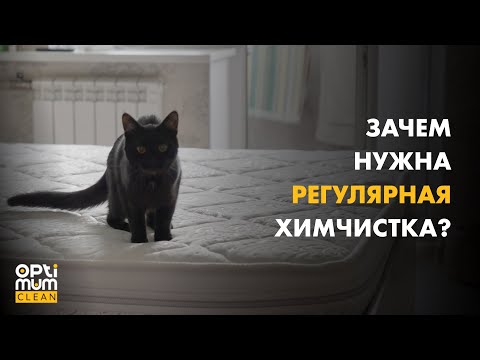 Видео: Ежегодная чиска мебели в квартире