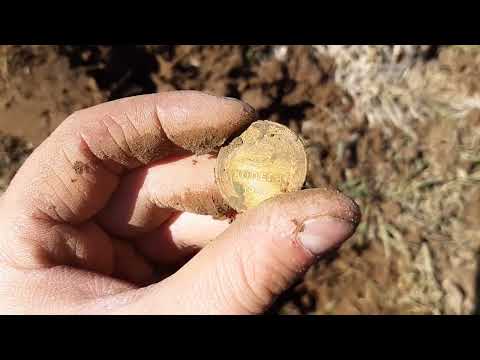 Видео: Поиск монет и железа 2022 с Фишером Ф75