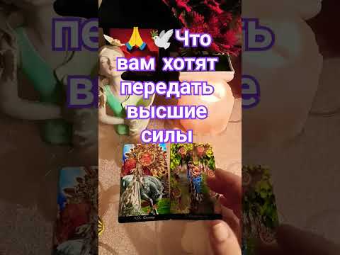 Видео: 🙏🕊Что вам хотят передать высшие силы #чтохотятсказатьвамвысшиесилы #высшие_силы #высшиесилы #tarot