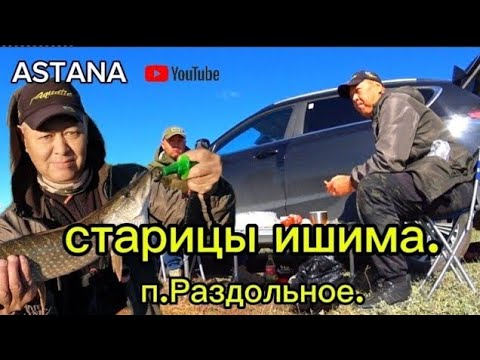 Видео: Рыбалка на реке Ишим.Спиннинги в дүгу отличный клёв.Fishing in Kazakhstan 