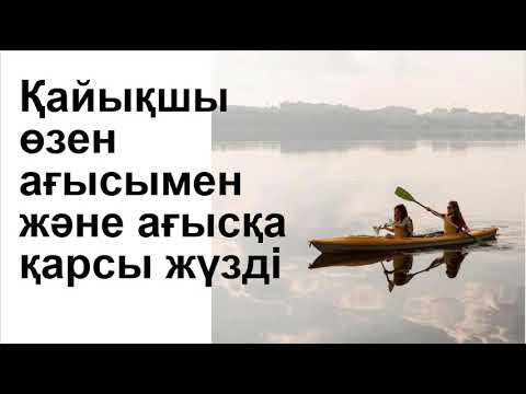 Видео: Қайықшы өзен ағысымен және ағысқа қарсы жүзді  // А.Г.Альсейтов