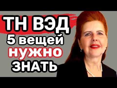 Видео: 5 ВЕЩЕЙ нужно ЗНАТЬ, как ПРАВИЛЬНО определить код ТН ВЭД на ФОНТАН для КОШЕК, Поилка#HScode #ТНВЭД