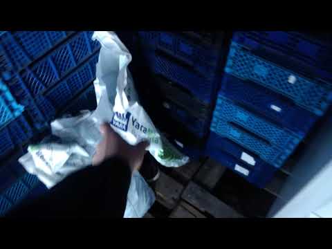 Видео: Фреза для клубники, междурядная.