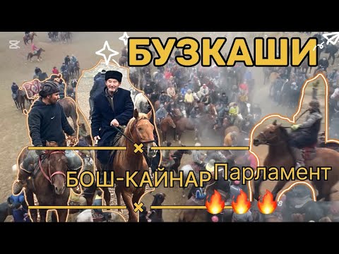 Видео: БУЗКАШИ ДАР д.Бош-Кайнар  01.01.2025 #бузкаши #купкари #улок #laqaynews