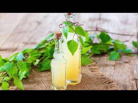 Видео: Квас із березового соку. Те що треба у спеку!