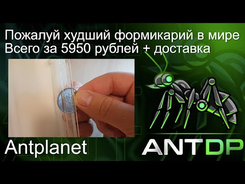 Видео: Очень плохой формикарий от antplanet