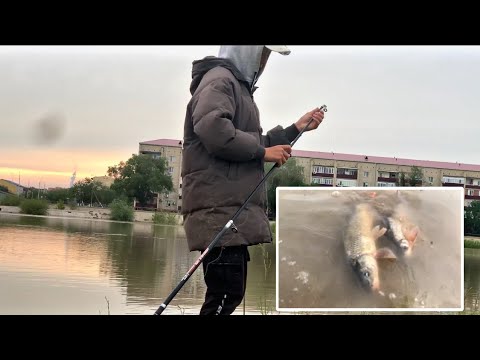 Видео: Көктемгі сазан аулау | Закидушкаға балық аулау | Рыбалка атырау