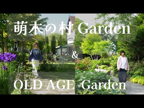 Видео: [🍃Эпизод 204] Деревня Киёсато Моэги «Месяц природного сада»🌲/OLD AGE — это сад ирисов