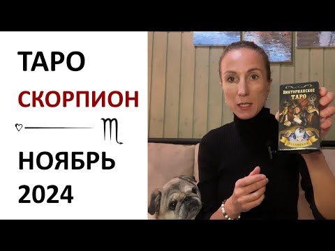 Видео: Скорпион | ТАРО прогноз на Ноябрь 2024