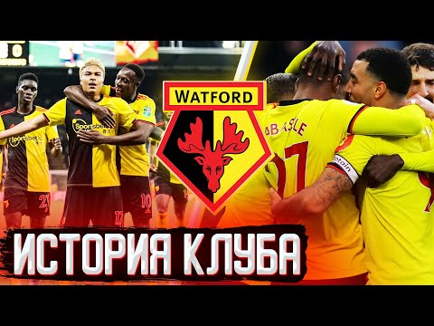 Видео: ИСТОРИЯ УОТФОРДА | УДАЧНЫЙ ПОЛЁТ ШМЕЛЕЙ