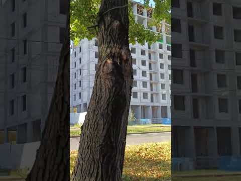 Видео: 9 сентября 2025 г.сегодня  обзор строительства домов, #Сормово, #Нижний_Новгород.