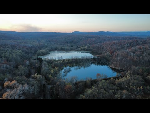 Видео: ⁉️Щука там, где её раньше не было. 🤫Рассказ местного сторожилы