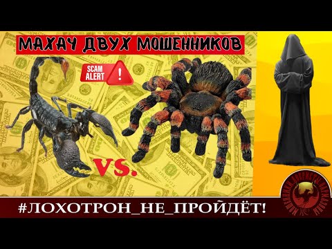 Видео: Смертельный номер: эпический махач мошенников. С прологом, эпилогом и некрологом. (Автор- Станислав)