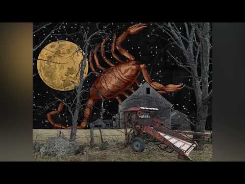 Видео: Луна в Скорпионе(плюсы и минусы) #лунавскорпионе #лунавзнаке #луна #скорпион #скорпион2023