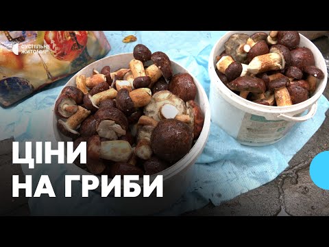 Видео: Білі, опеньки, маслюки: які гриби і за якою ціною продають на ринку в Житомирі