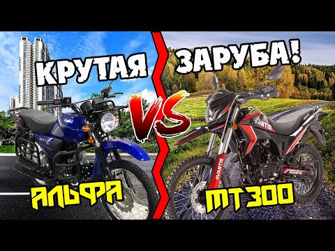 Видео: Альфа или Мотоцикл? Что же лучше? Тест-драйв Avantis MT300 NEW (PR300/172FMM) 2023г.