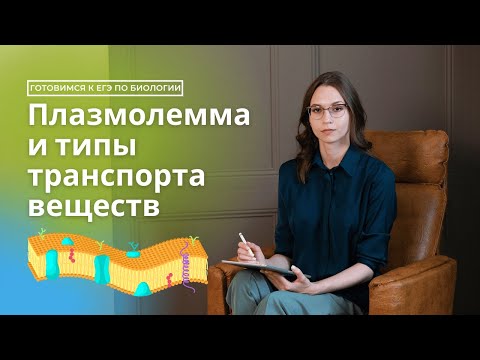 Видео: Плазмолемма и типы транспорта веществ. Готовимся к ЕГЭ по биологии.