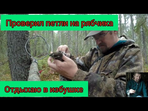 Видео: Проверил петли на рябчика. Отдыхаю в избушке