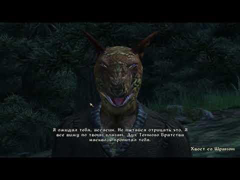 Видео: The Elder Scrolls IV Oblivion 35 серия
