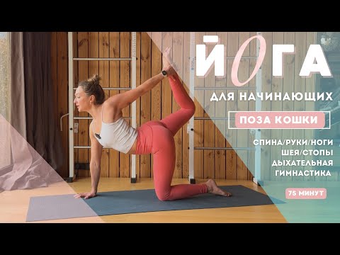 Видео: ЙОГА для начинающих|все тело| укрепление мышц спины