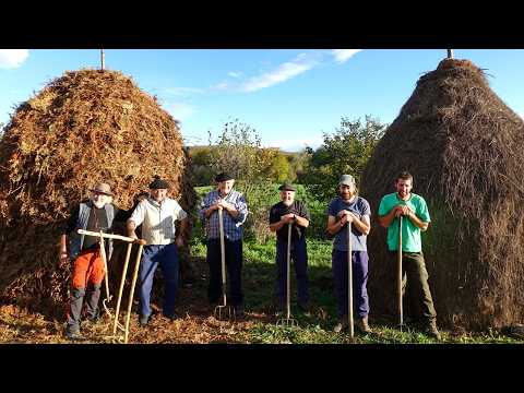 Видео: Заготовка травы и папоротников на зиму. Древняя система кормления животных