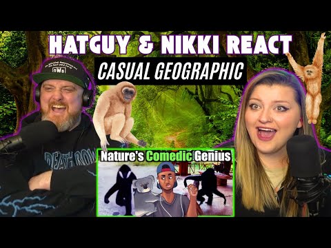 Видео: «Это самое смешное животное на Земле, простите» @mndiaye_97 | Hatguy @gnarlynikki Реакция