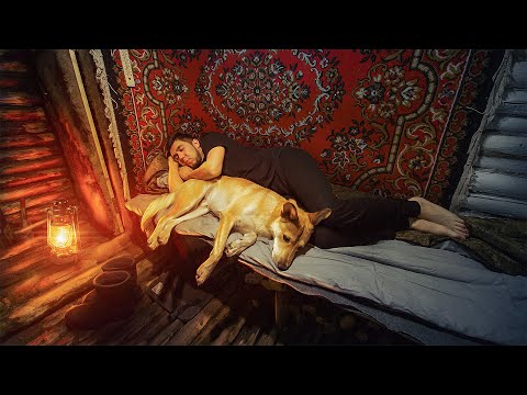 Видео: В ЛЕСУ, КАК ДОМА. НОЧЬ В МОЕЙ ХИЖИНЕ. ВОССТАНОВИЛ БЕСЕДКУ. ПРИГОТОВИЛ ЗАПЕКАНКУ НА ПЕЧИ.