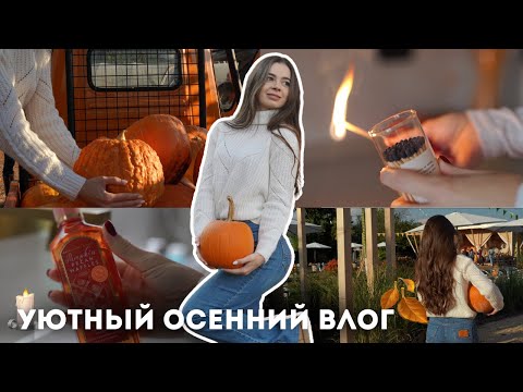 Видео: Тыквенная ярмарка, уход за телом осенью и мотивация на уборку 🧡 Уютный Влог🍂✨