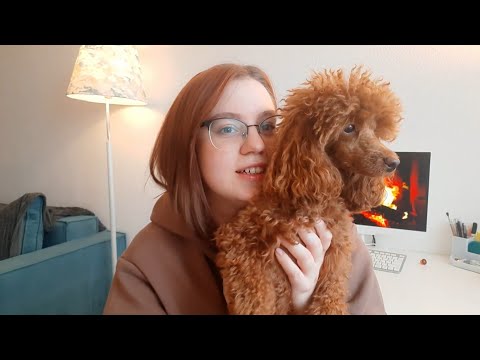 Видео: Жизнь с пуделем | моя история приобретения щенка | моё первое видео