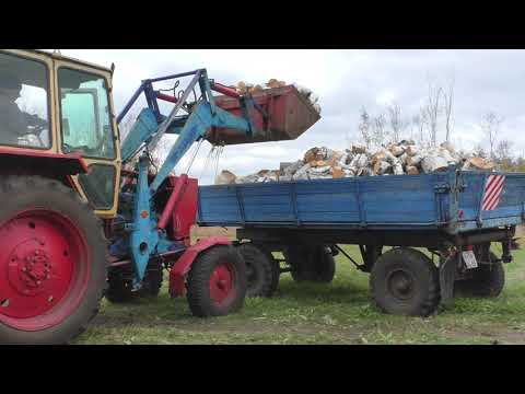 Видео: Где купить дрова если их не выписывает лесхоз ? Насобирать !