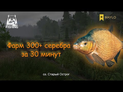 Видео: Фарм серебра Лещ оз. Старый Острог | Русская Рыбалка 4 | РР4 MAYLO