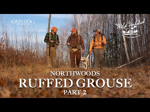 Видео: Висконсинский рябчик — Дикая возвышенность, сезон 3, серия 5