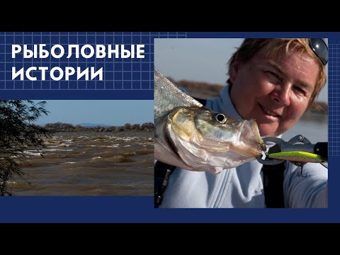 Видео: Рыболовные истории. Часть 2
