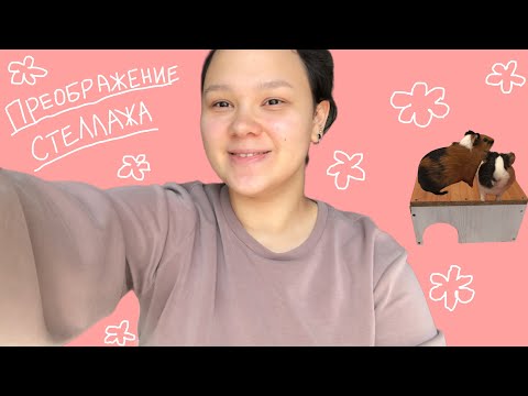 Видео: ПРЕОБРАЖЕНИЕ СТЕЛЛАЖА МОРСКИХ СВИНОК🐹/ наводим порядок/лайфхаки✌️