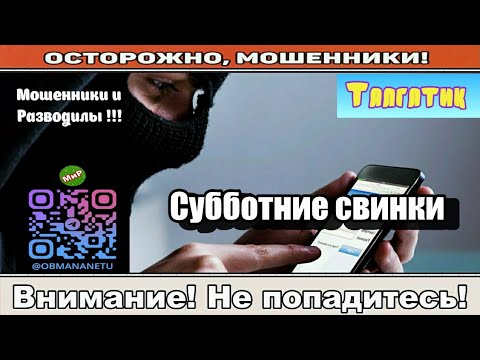 Видео: Мошенники звонят по телефону / Субботние свинки ( сборник ).