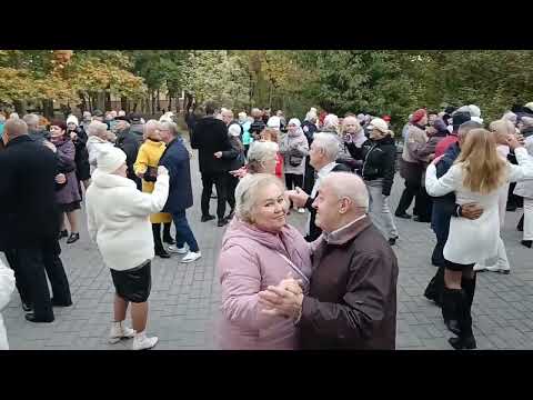 Видео: Ты прошла мимо........ 20.10.24 Гомель парк Луначарского 🥰