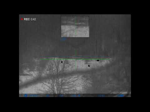 Видео: ВЕСЁЛАЯ НОЧЬ, НА ПРИВАДЕ.