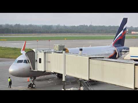 Видео: Airbus A320 а/к Аэрофлот | Рейс Новосибирск – Санкт-Петербург
