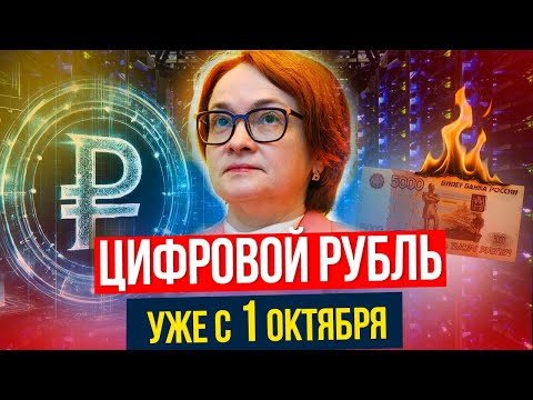 Видео: Цифровой рубль уже с 1 ОКТЯБРЯ. Большие риски для ДОЛЖНИКОВ!